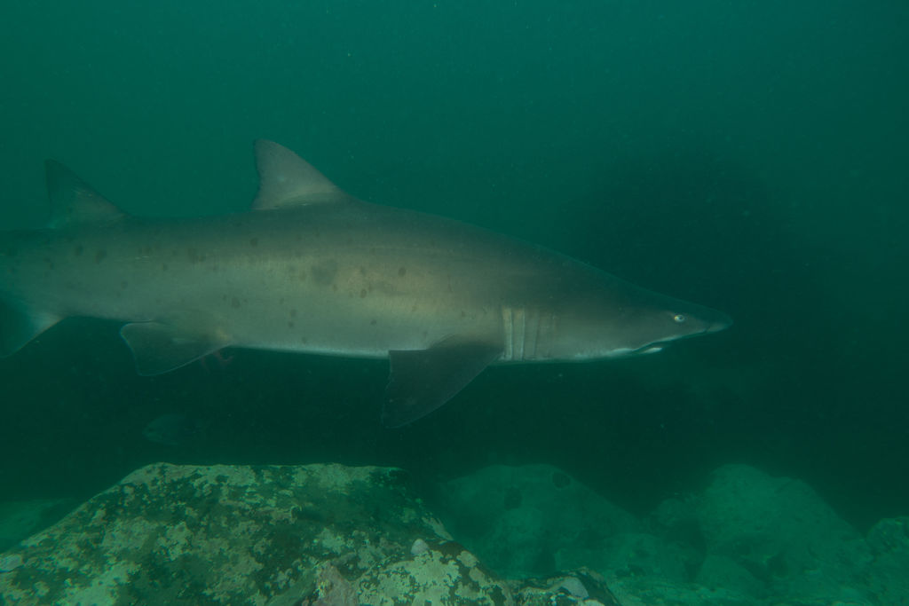 44bd9db7-4b90-4371-933a-74761b49d32a