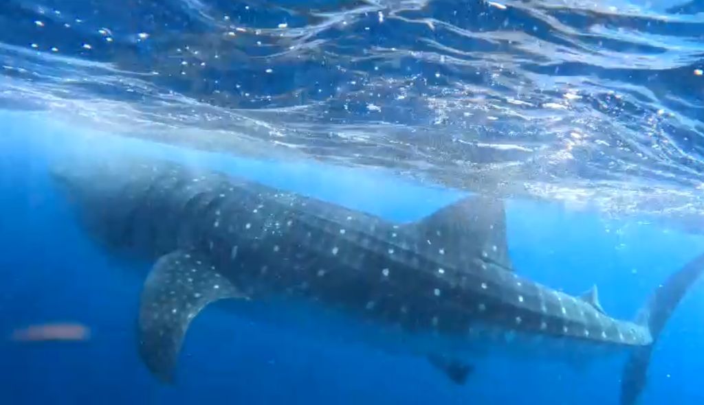 ded1ba6b-bbca-4c9a-b722-806ed80f9573