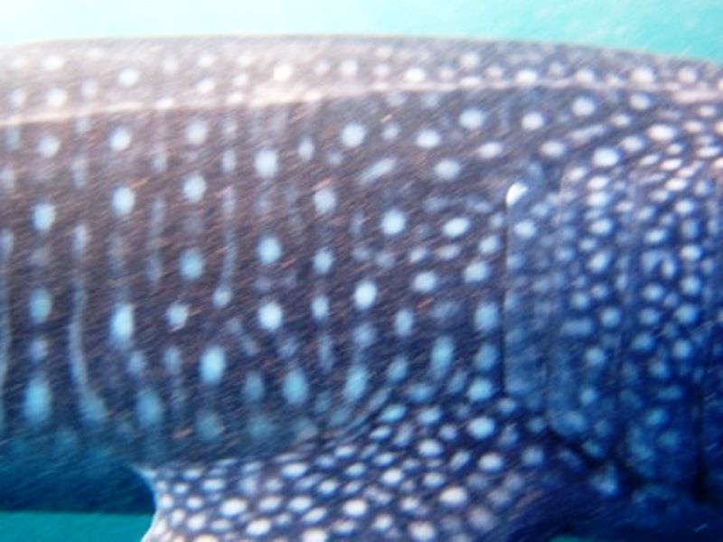 467238a0-06ac-4cc5-b5dc-f108034aef30