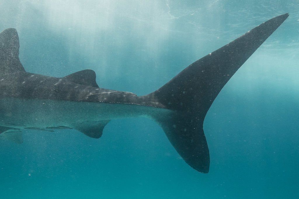 450e8760-1193-4cf2-9040-a7c7c2ff80c6