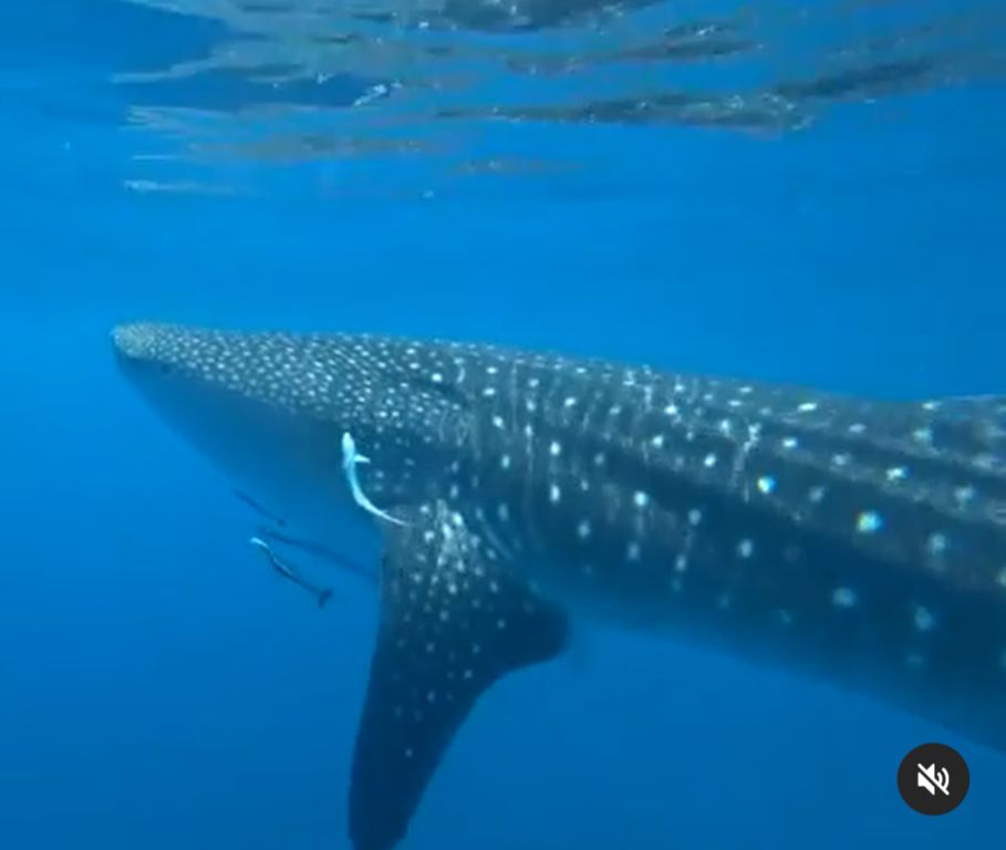 22b244be-2512-4bab-b873-c079bd82c78a