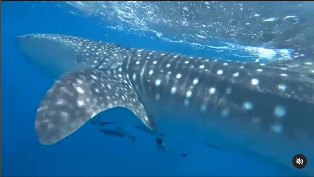 22b244be-2512-4bab-b873-c079bd82c78a