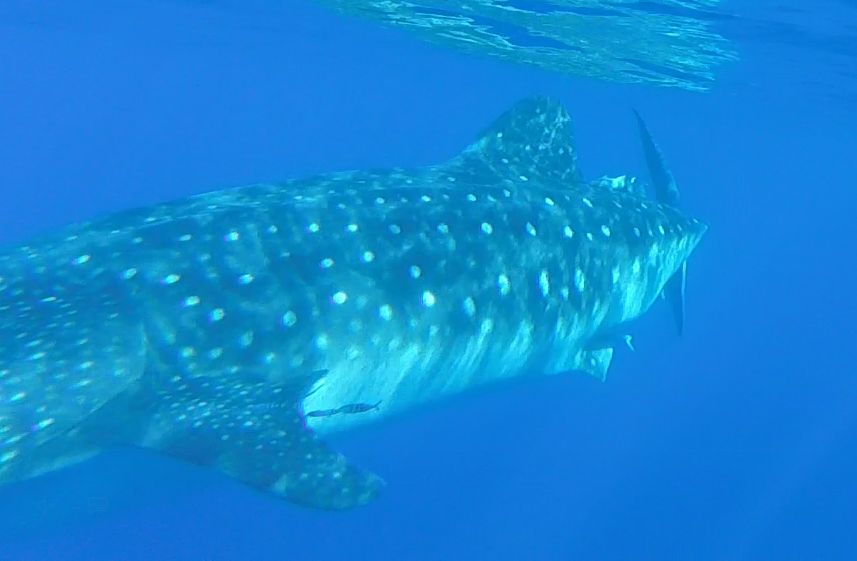 28328561-8bff-4d81-95a6-740f46f7e627