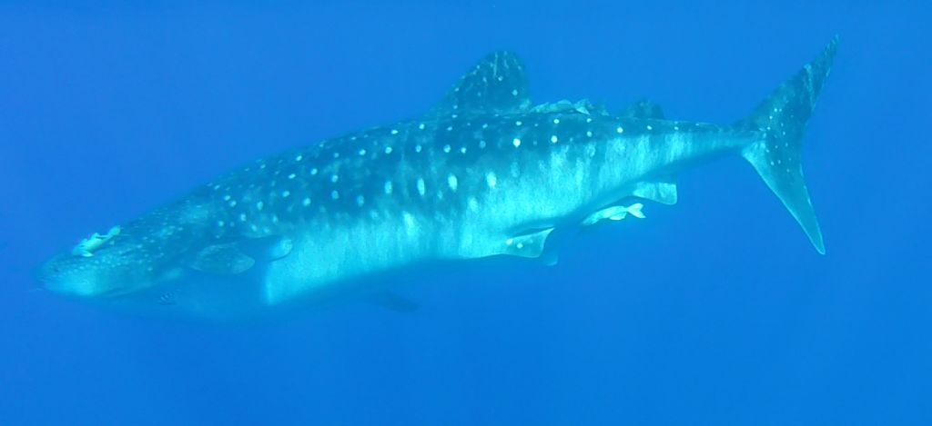 28328561-8bff-4d81-95a6-740f46f7e627