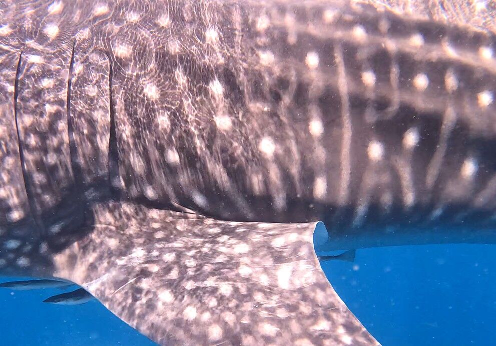 9b73f79f-ea7c-4d4b-8da6-88539762198d