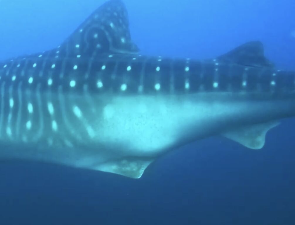 0537499e-8ebf-4507-9232-227f48b5fa29