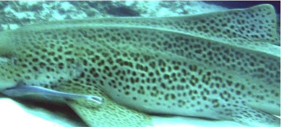 434383fa-9a30-4da9-9077-b037797157a2