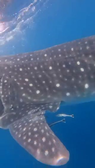 b0f14b74-47da-471e-ae0c-0bf8e5f1eb5f