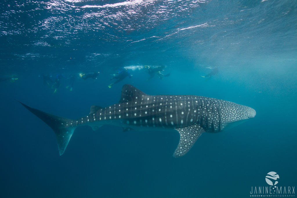 557fc49f-e519-4359-950e-06957af6a412