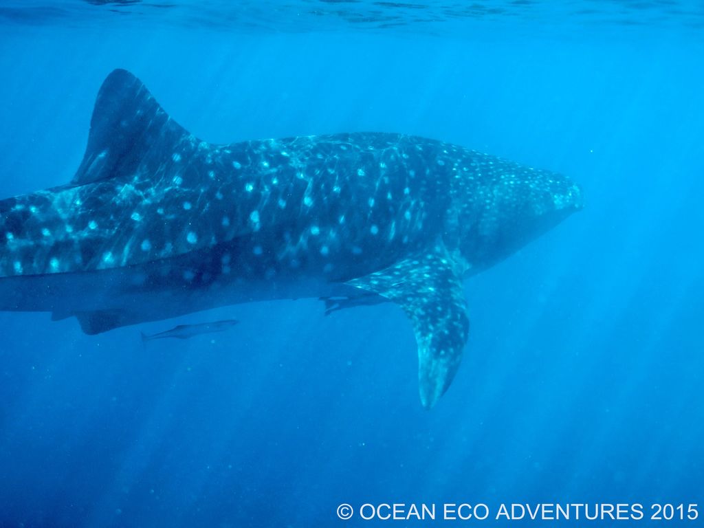 f2d9bc86-fb42-4f15-8673-84895c5ec180