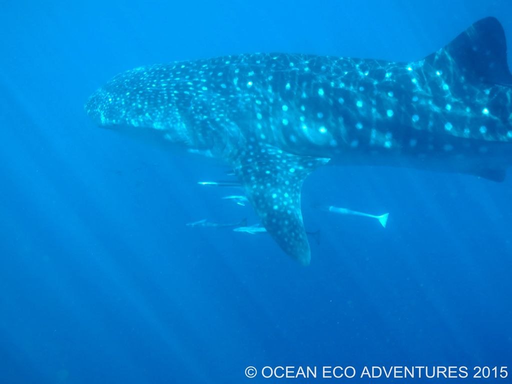 f2d9bc86-fb42-4f15-8673-84895c5ec180