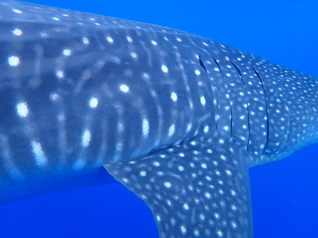 6beaa9ac-3482-4b80-81b4-67841c3b1f1d