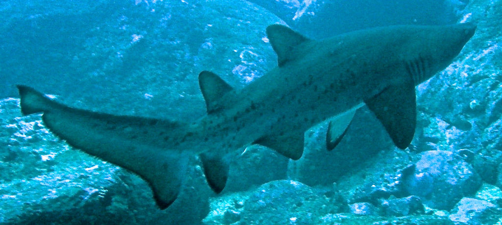 c324d474-a276-46b8-938f-36f49f2b7b1f