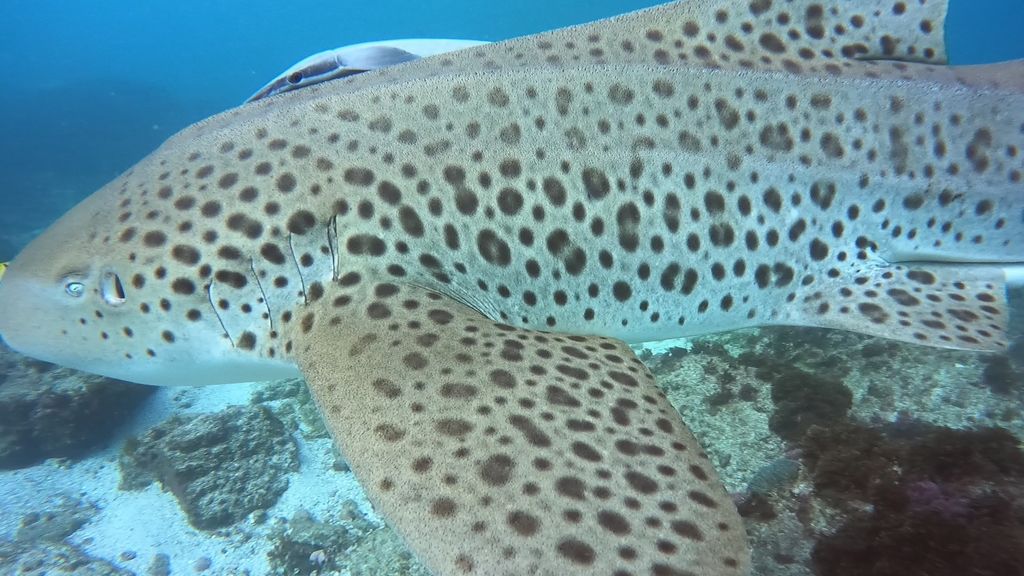 8fd3e5d7-59bb-4eae-aed1-ab9001fedea1