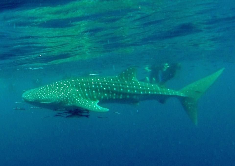 91629d00-126b-477e-9787-cc18e3e9292f