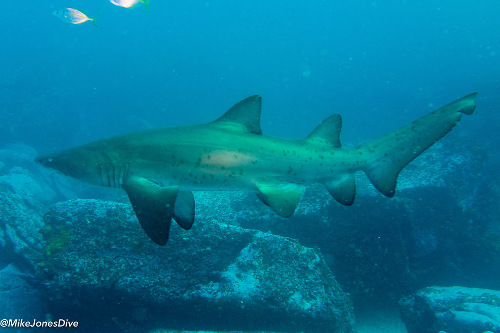 da978f19-628b-4114-a073-cf42e19e4db2