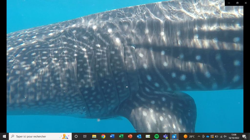 ab6749c2-ea4c-411d-97b3-902587dc746f