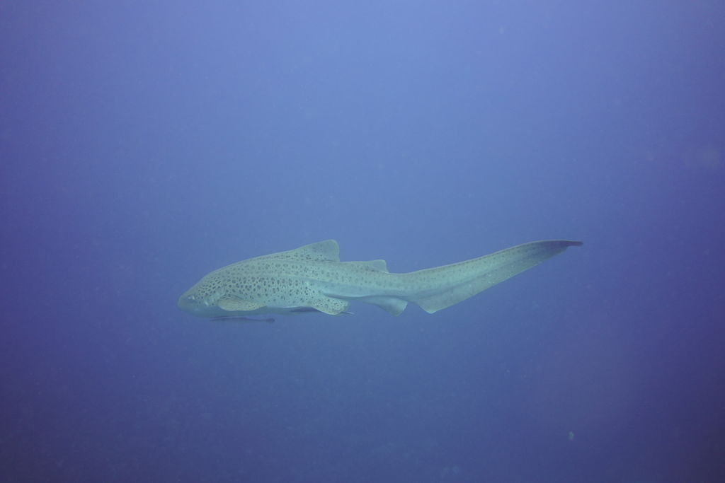 c7b1e7a4-38b0-46d1-8cc3-73570ad9913b