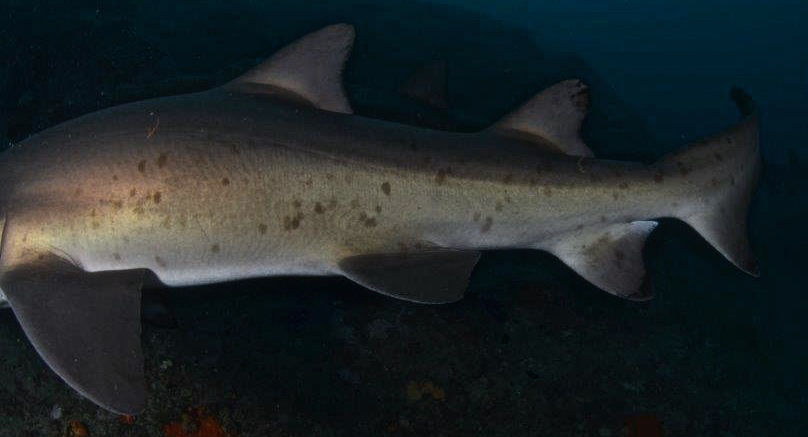 b374729d-cc8b-4e19-86ca-3fd3f41dcf98