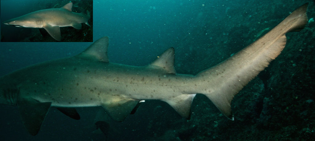 d4af46aa-5a2a-4385-900a-39e44154fdfe