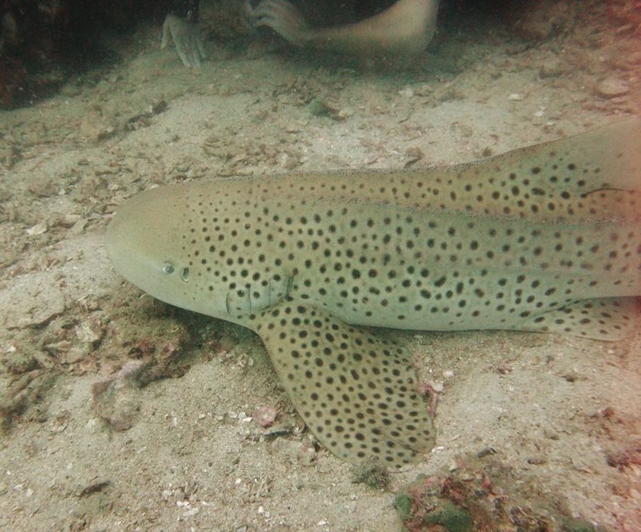 f90ed4af-e13d-400c-ad8d-1ca3000ff264