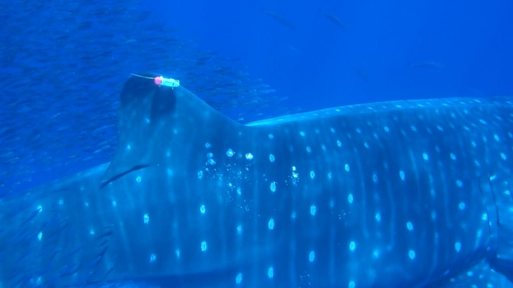 89e84fbc-ac1d-402f-96f8-1afcb02b13fc