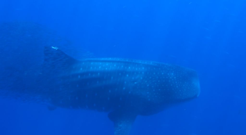 89e84fbc-ac1d-402f-96f8-1afcb02b13fc