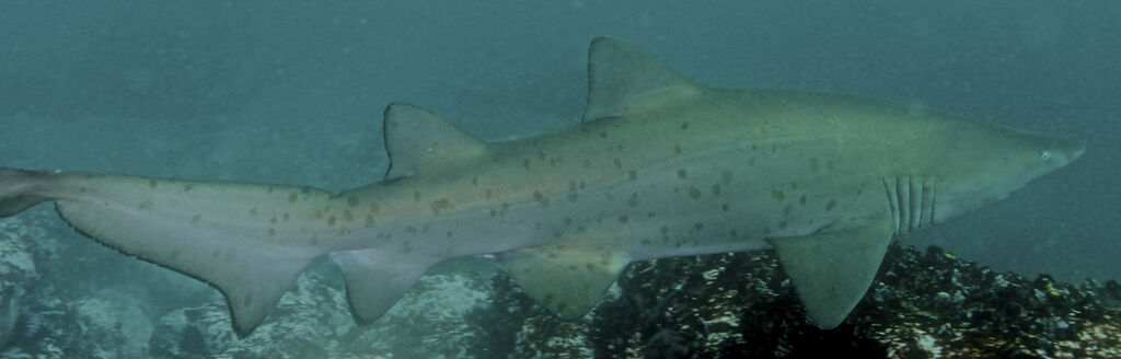 a0e2955c-d1c5-473e-a4c0-9cb3c08258ac