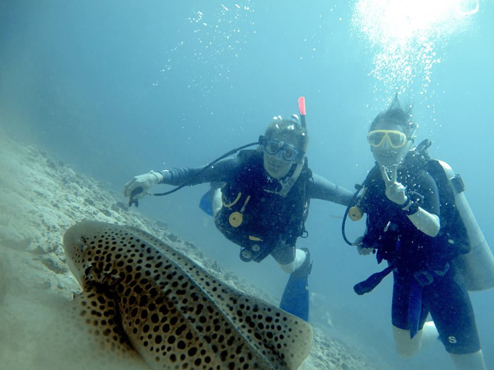 97e0e33d-06aa-4f4e-b789-0d076f0c9ccd