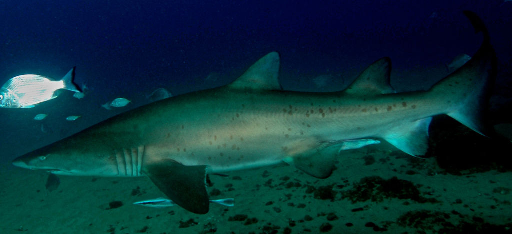 f8863a84-5b7c-41c1-92f3-17cf66754845