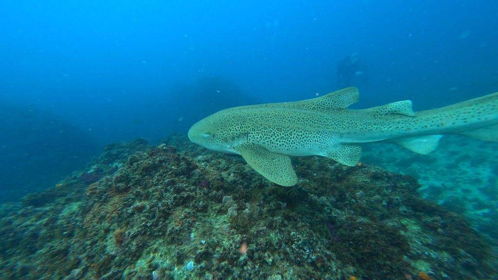 f68ddb76-c255-4cf5-9b18-484bcbd87283