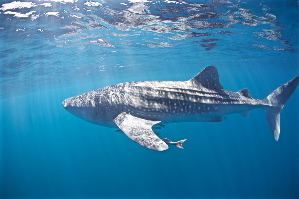 0abdf833-9da7-4336-99ff-0b8fd3e21926