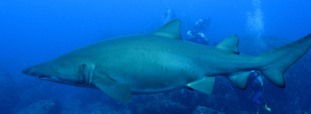 144e37e7-995a-4d18-bab9-d6972befbaae