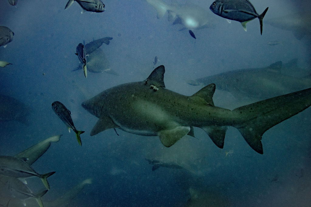 2242ad9b-5f33-432c-898c-14f58480927f