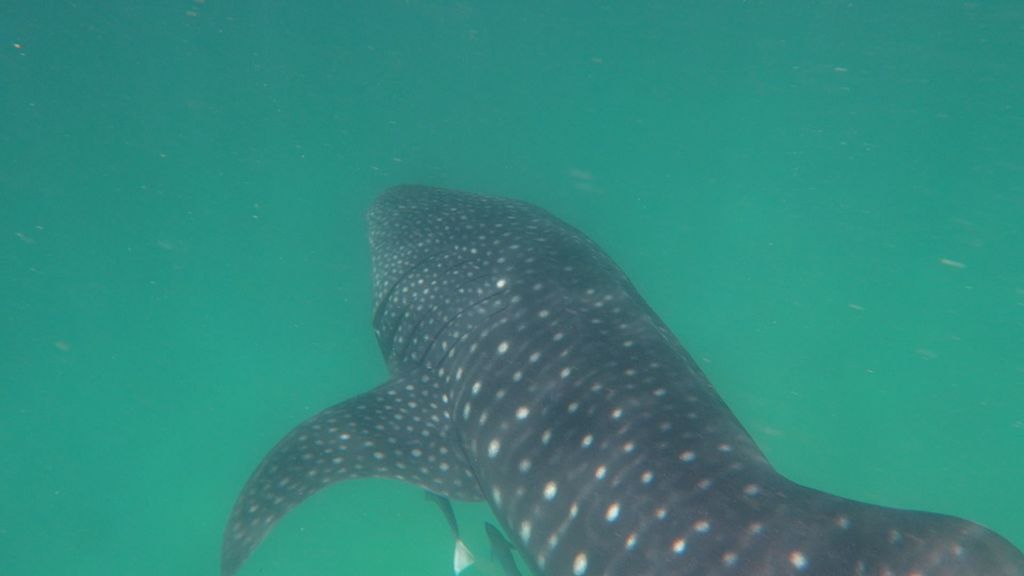 7069eea8-09ac-4fce-98be-bcb663d7a8fb