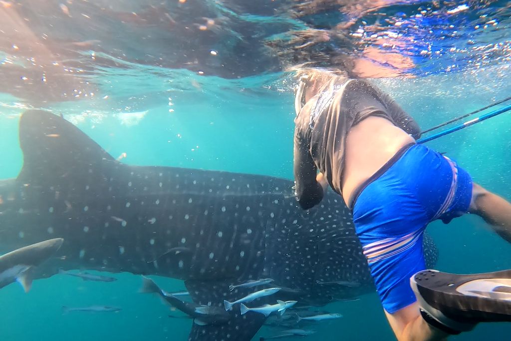 504f1b51-8fc7-4237-8b77-5cdc702e23ff