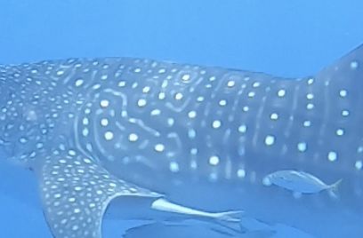 69379e48-fce9-4e39-8ef8-8877f747025e