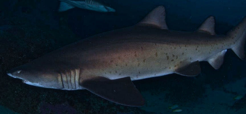 11d0d9fd-674a-4a20-af5a-17d234fcdaea