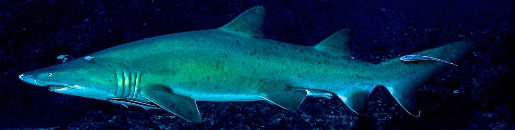 7572d2d2-4971-489d-9eb7-4b42b644f6e3