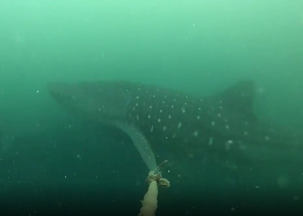 bcebf9b4-f226-448d-8db7-1a656352e418