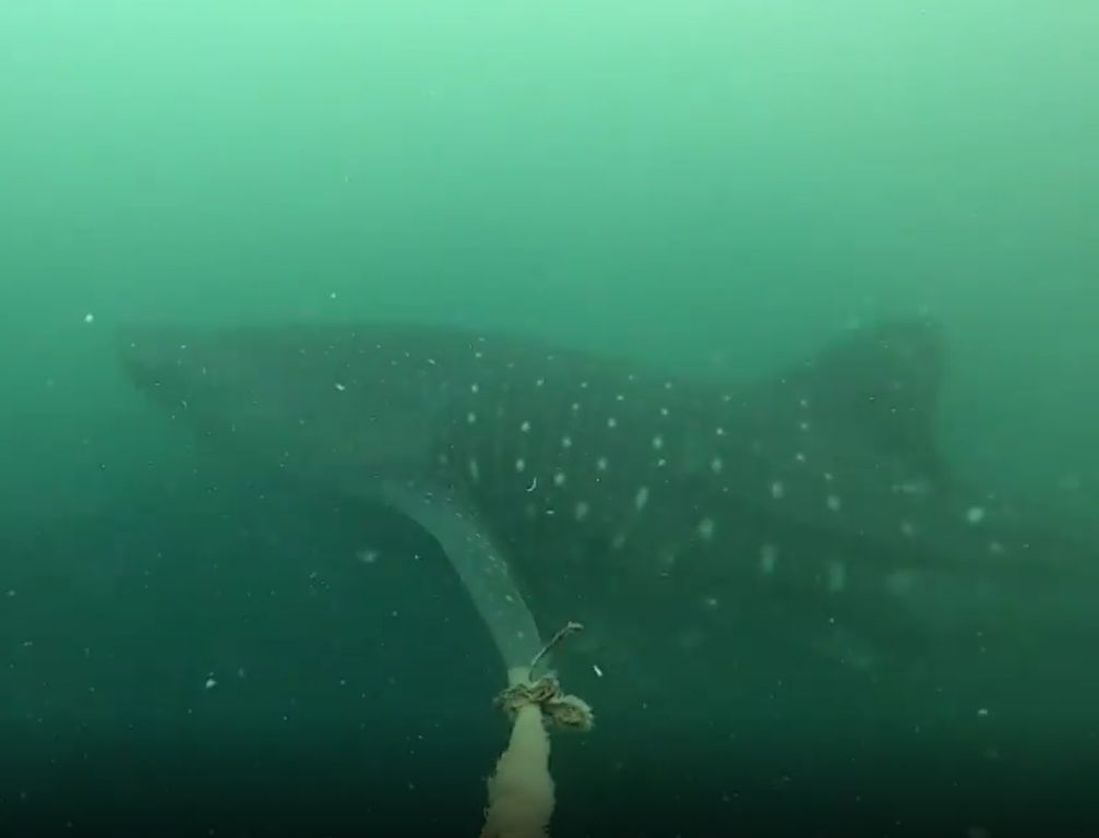 bcebf9b4-f226-448d-8db7-1a656352e418