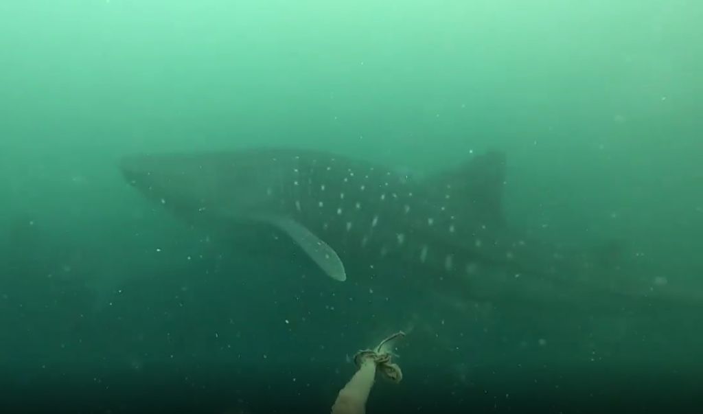 bcebf9b4-f226-448d-8db7-1a656352e418