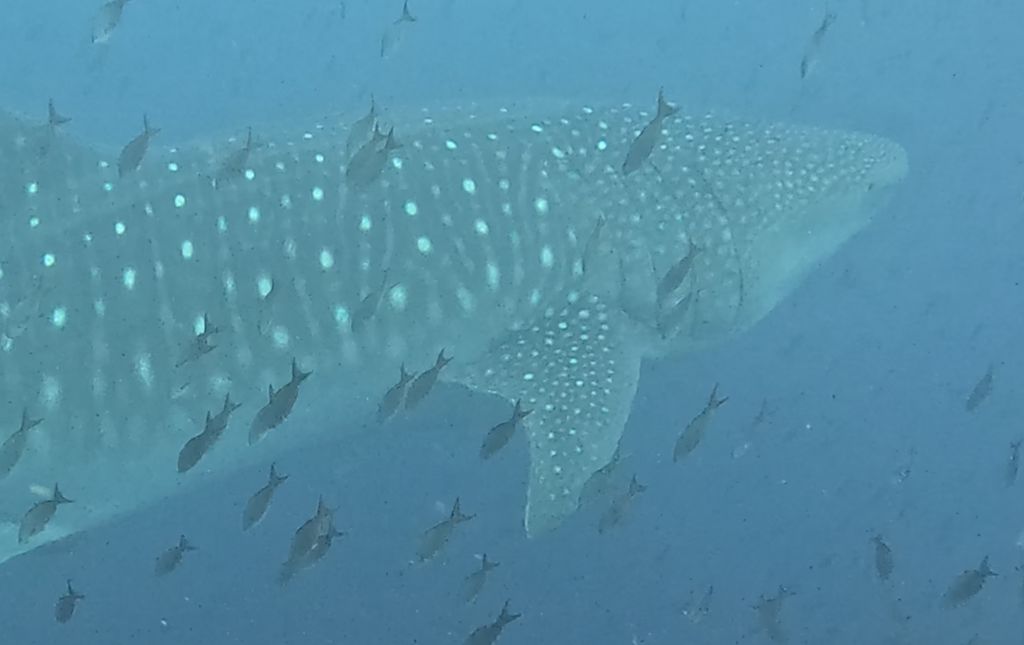 9d07c3e1-0720-42d2-ac76-2f2c28ddf593