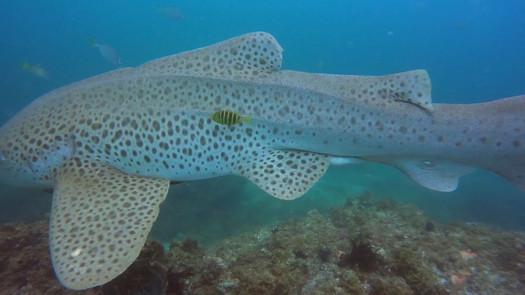 a1b97fe9-07c5-4189-8425-3d209f1a7847