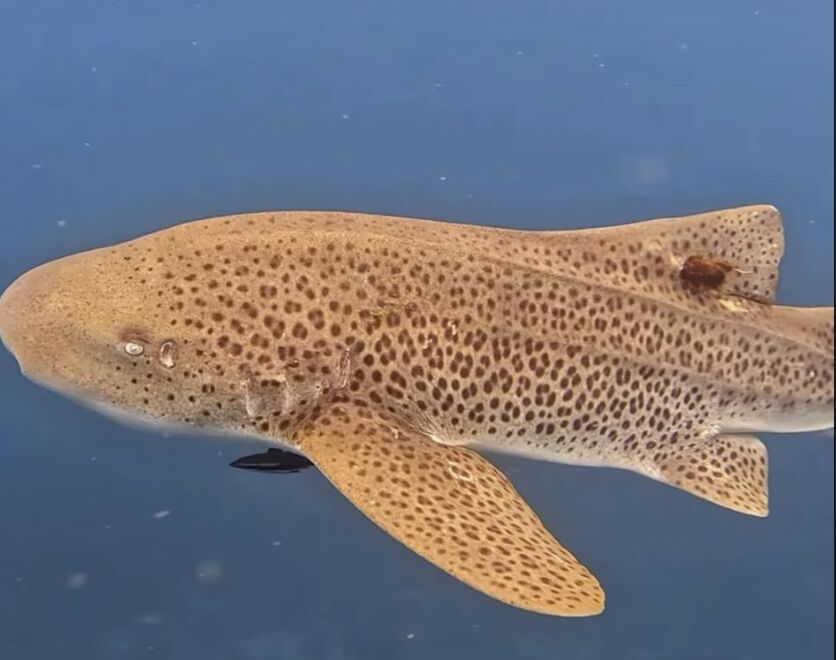 332afc8f-470f-4464-adf7-88c6e3b13a4c