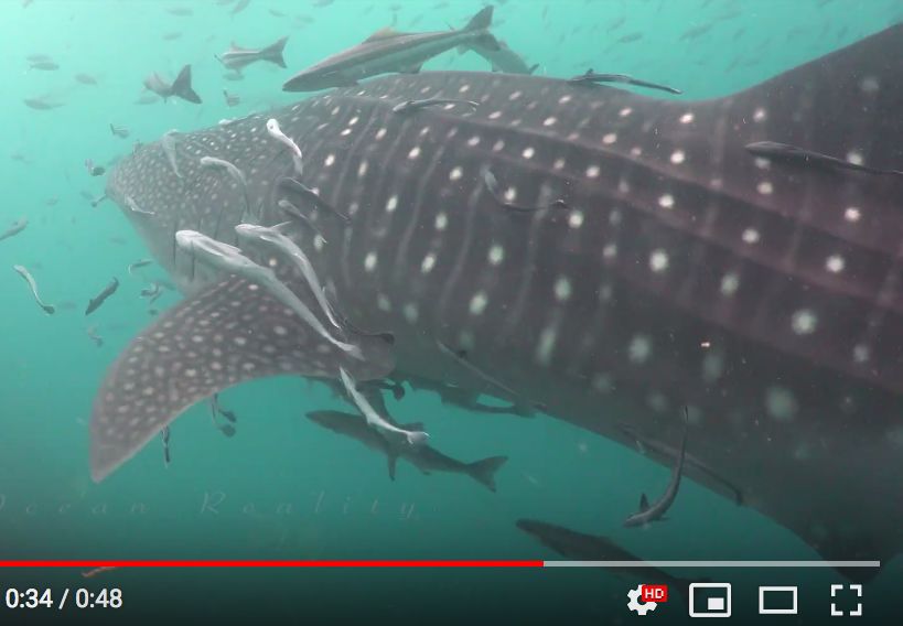 2ef6d29d-632e-4477-9a0e-95653c40ab6a