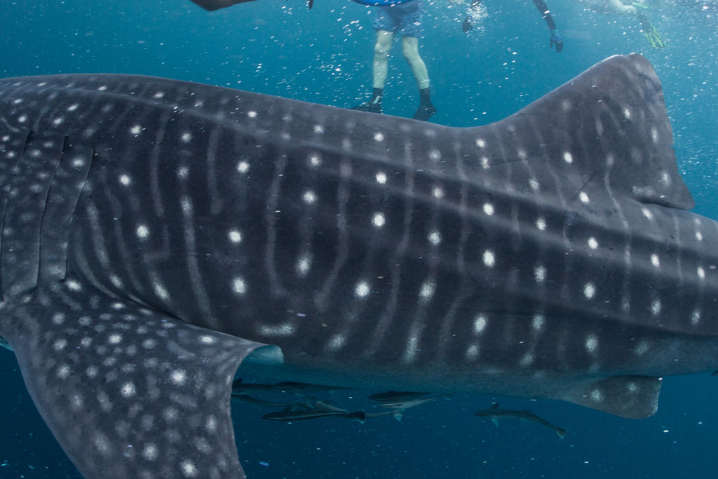 0909865f-bdc0-42ec-83b1-5f112c393c48