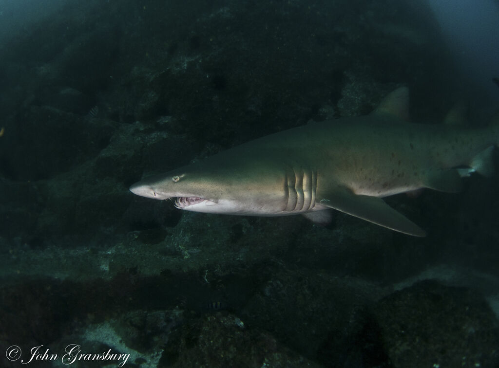 d6e33be5-514a-47e0-8efa-bfd5707d2145