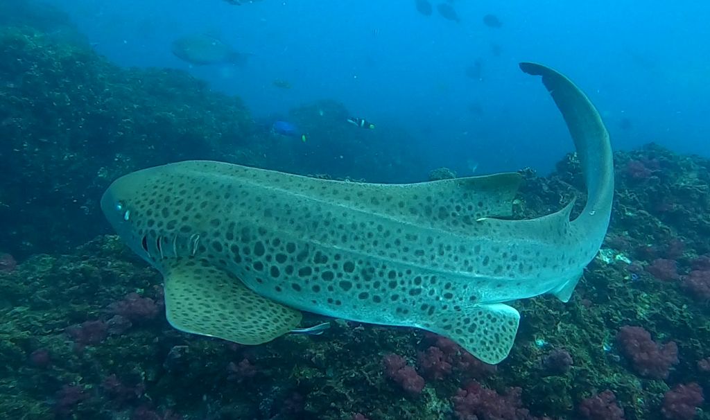 34551923-1f8e-424e-82d1-f2125fc5ede6