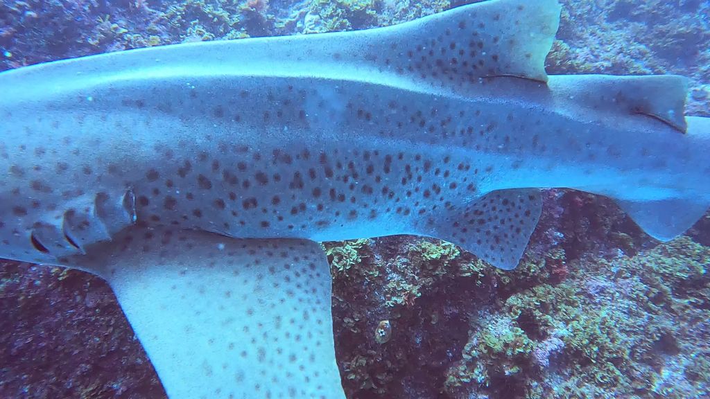 592cf5c3-5821-4892-b3c9-b88fc3649973